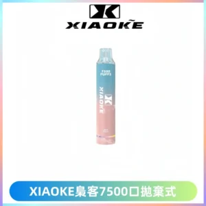 XIAOKE梟客7500Puffs跑馬燈拋棄式電子煙 可發光一次性